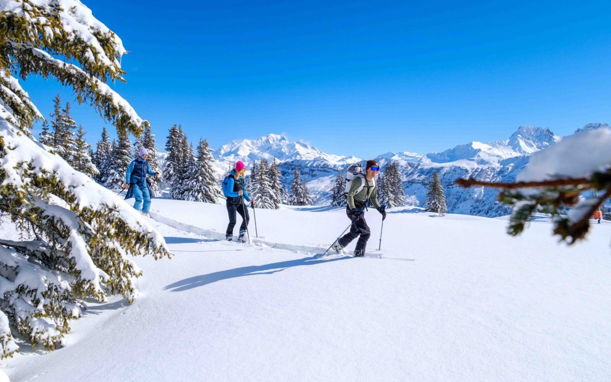 Ski de randonnée